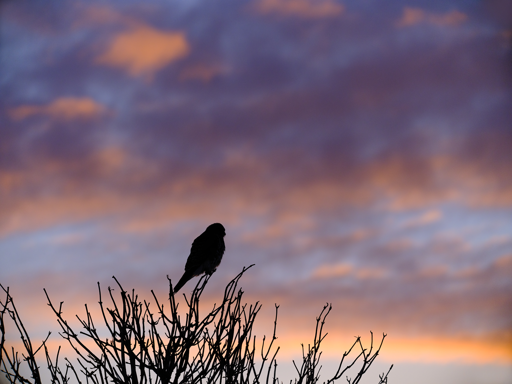 Die Abendstimmung geniessen